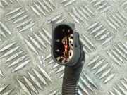 Servolenkung Pumpe 4233880 Nissan Almera (N16) SchrÃ¤gheck 1.5 dCi (K9K-722) 2003