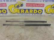 Gasdruckfeder Vorne Citroën C5 II Berline (RC) Schrägheck 1.6 HDiF 16V (DV6TED4(9HZ)) 2005