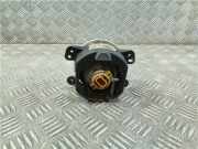 Nebelscheinwerfer Links Vorne Fiat Freemont Großraumlimousine 2.0 MultiJet 136 16V (939.B.5000) 2015