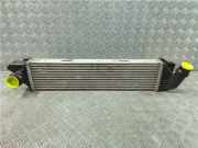 Ladeluftkühler 93868350 Opel Vivaro Van 1.6 CDTI 115 (R9M-408(R9M-A4))