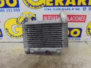Ladeluftkühler 33010359 Toyota Yaris (P1) Schrägheck 1.4 D-4D (1NDTV) 2005