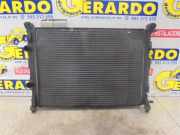 Radiator 8200115542A Renault Megane II (LM) Limousine 1.9 dCi 120 (F9Q-800)