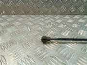 Gasdruckfeder Vorne 654704175R Dacia Dokker (0S) Großraumlimousine 1.6 SCE 16V Bi-Fuel (H4M-729(H4M-D7))