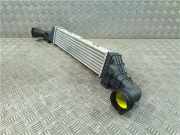 LadeluftkÃ¼hler Mercedes-Benz E (W210) Limousine 3.2 E-320 CDI 24V (OM613.961) 2000