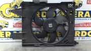 Kühlerventilatormotor 8200680824A Renault Megane II (BM/CM) Schrägheck 1.5 dCi 105 (K9K-732(K9K-P7)) 2008