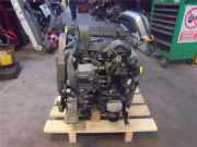 Motor ASX012384 Volkswagen Polo III (6N2) Schrägheck 1.9 SDI (ASX) 2000 ASX