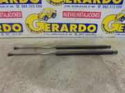 Gasdruckfeder Hinten Citroën Saxo Schrägheck 1.1i X,SX (TU1JP(HFX)) 2001
