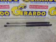 Gasdruckfeder Hinten Renault Megane II Grandtour (KM) Kombi 5-drs 1.9 dCi 120 (F9Q-800)
