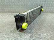 Ladeluftkühler A9065010101 Mercedes-Benz Sprinter 3,5t (906.13/906.23) Ch.Cab/Pick-up 315 CDI 16V (OM646.986(Euro 4 (D4)))