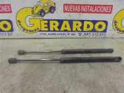 Gasdruckfeder Hinten Renault Clio II (BB/CB) Schrägheck 1.2 16V (D4F-712(D4F-B7)) 2002