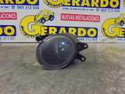 Nebelscheinwerfer Rechts Vorne 8E0941700 Audi A4 Avant (B6) Kombi 2.5 TDI V6 24V Quattro (AKE) 2002