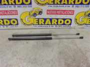 Gasdruckfeder Hinten Citroën Saxo Schrägheck 1.1i X,SX (TU1M(HDZ)) 1998