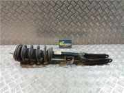 Stoßdämpfer Links Vorne 50557141 Alfa Romeo Giulia (952) Limousine 2.2d 16V Veloce Q4 (46346359) 2019