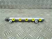 Einspritzdüsen Düsenstock 175210542R Opel Vivaro Van 1.6 CDTI 115 (R9M-408(R9M-A4))