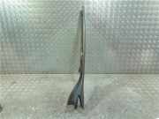 A Säule Verkleidung Links 768350002R Renault Scénic III (JZ) Großraumlimousine 1.9 dCi (F9Q-870(F9Q-N8))