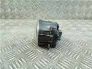 Nebelscheinwerfer Rechts Vorne 8200074008 Renault Megane II (BM/CM) Schrägheck 1.6 16V (K4M-812)