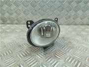 Nebelscheinwerfer Links Vorne 3D0941699C Volkswagen Phaeton (3D) Limousine 3.0 V6 TDI 24V 4Motion (BMK) 2006 BMK