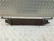 Ladeluftkühler 51785221 Fiat Linea (323AX) Limousine 1.3 D Multijet 16V VGT (199.A.3000)