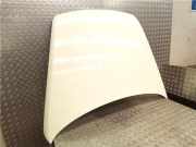 Motorhaube 7L6823031D Volkswagen Touareg (7LA/7L6) SUV 2.5 TDI R5 (BAC) 2004 BAC