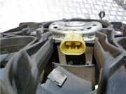 Kühlerventilatormotor 51812208 Fiat Doblo (263) Großraumlimousine 1.3 D Multijet (199.A.3000)