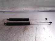 Gasdruckfeder Hinten Renault Vel Satis (BJ) Großraumlimousine 3.0 dCi V6 24V (P9X-701) 2002