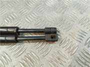 Gasdruckfeder Vorne Mercedes-Benz ML I (163) SUV 400 4.0 CDI V8 32V (OM628.963) 2004