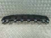 Grill 8200412379 Renault II Coupe/Cabrio (2003->) 1.9 Luxe Dynamique [1,9 Ltr. - 96 kW dCi Diesel FAP] F8Q E8 2007