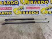 Gasdruckfeder Hinten Hyundai H-1/Starex Bus 2.5 Tci (D4BH) 2002