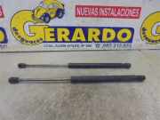 Gasdruckfeder Hinten Renault II Fase II (B/CB0)(2001->) 1.5 Confort Expression [1,5 Ltr. - 48 kW dCi Diesel] K9K A7 2004