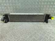 LadeluftkÃ¼hler 3M5H9L440AE Ford C-Max (DM2) GroÃŸraumlimousine 1.8 16V (QQDB) 2008