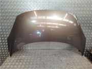 Motorhaube 651008842R Renault Scénic III (JZ) Großraumlimousine 1.9 dCi (F9Q-870(F9Q-N8))