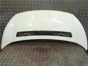 Motorhaube 7901N1 Peugeot Expert (G9) Van 2.0 HDi 120 (DW10UTED4(RHK)) 2010