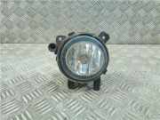 Nebelscheinwerfer Links Vorne 7248911 BMW 3 serie Touring (F31) Kombi 320d 2.0 16V (B47-D20A) 2017