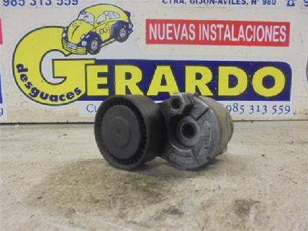 Spannrolle Renault Clio III (BR/CR) Schrägheck 1.5 dCi 85 (K9K-766(K9K-T7)) 2006