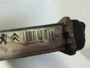 Radiator 9645610180 Peugeot (2004->) 3.0 XFV (ES9A) 2007
