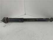 Stoßdämpfer Links Hinten A2043260098 Mercedes-Benz C (W204) Limousine 2.2 C-220 CDI 16V (OM646.811) 2008