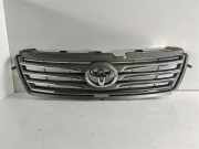 Grill - Toyota RAV4 (A3) Geländewagen 2.2 D-4D 16V 4x4 (2AD-FTV) 2007