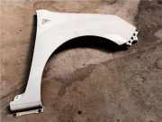 Kotflügel Links Vorne Renault Kangoo Express (FW) Van 1.5 dCi 85 (K9K-800) 2011