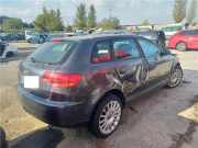 Bremssattel Rechts Hinten Audi A3 Sportback (8PA) Schrägheck 5-drs 2.0 TDI 16V (BKD) 2006