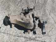 Kardan Hinten Toyota (A2)(2000->) 2.0 VVTi 4WD 1AZ-FE 2001