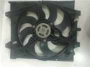 Kühlerventilatormotor Ford Ka II Schrägheck 1.2 (169.A.4000) 2015