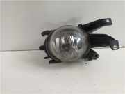 Nebelscheinwerfer Links Vorne BMW 5 serie (E39) Limousine 530d 24V (M57-D30(306D1)) 2002