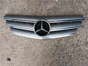Grill - 1698800883 Mercedes-Benz B (W245) Schrägheck 2.0 B-200 16V Turbo (M266.980) 2007