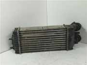 Ladeluftk?hler 9645965180 Citro?n Xsara Picasso (CH) Gro?raumlimousine 1.6 HDi 16V 110 (DV6TED4(9HY)) 2007 DV6TED4(9HY)