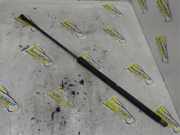 Heckklappendämpfer links Honda Civic VIII FN, FK