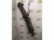 Federbein rechts hinten Lexus IS 2 E2