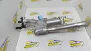 Auspuffrohr Renault Clio III BR0/1, CR0/1 8200446882