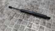 Gasdruckfeder Mercedes-Benz S-Klasse W221 A2218800329