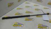 Heckklappendämpfer links Fiat Seicento 187 46453503