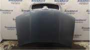 Motorhaube Skoda Fabia 6Y